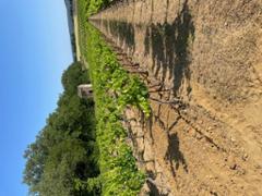 Wandelen en bezinnen bij Franse cisterciënzers - Foto 3