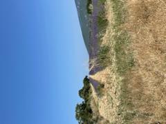 Wandelen en bezinnen bij Franse cisterciënzers - Foto 4