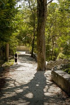 Wandelen en bezinnen bij Franse cisterciënzers - Foto 6