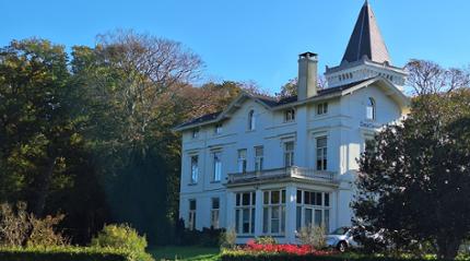 Herfstkleuren, herten en Haarlemse hofjes in Vogelenzang