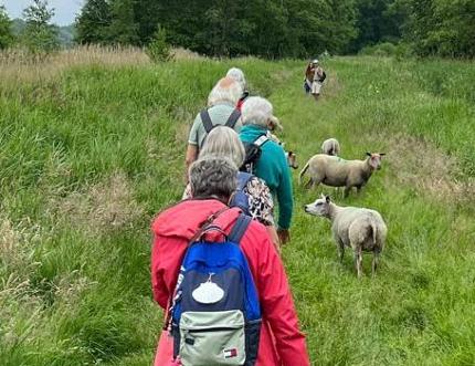 Jaarprogramma 2026 online