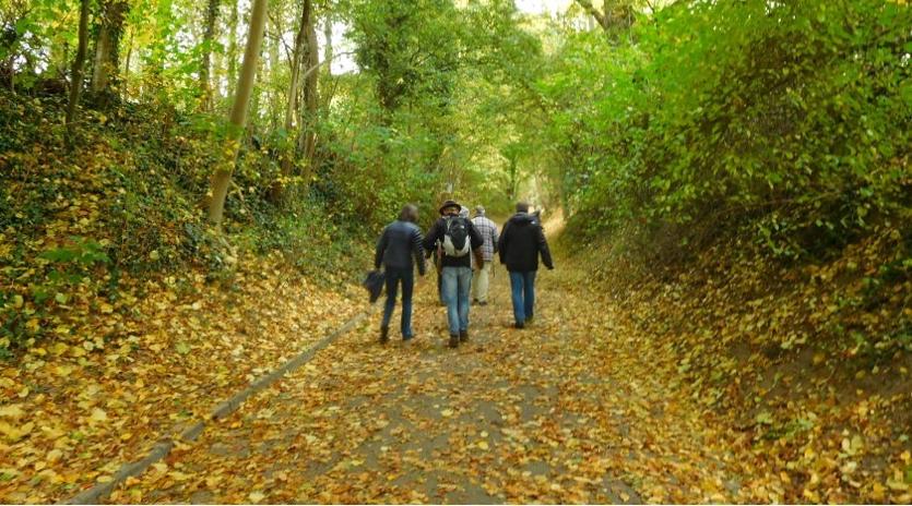 Herfst in de heuvels rond Sittard