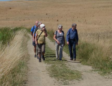 De Wandelmaat zoekt nieuwe bestuursleden