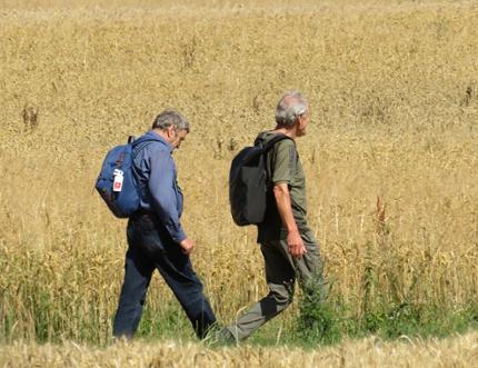 Eerste wandelingen 2022 online