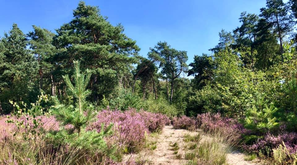 Zelfvoorzienend op de Veluwe