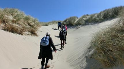 Wandelen op Terschelling