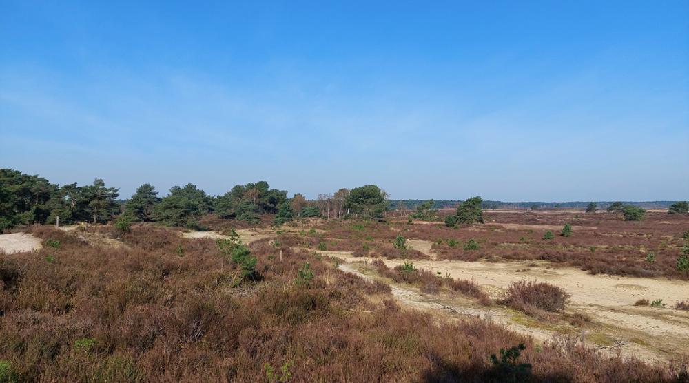 Aandacht voor adem en aarde bij franciscanen