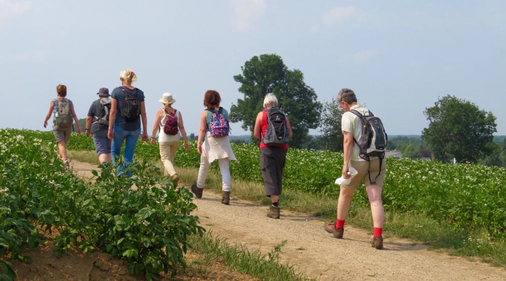 Beklim de heuvels rond Sittard