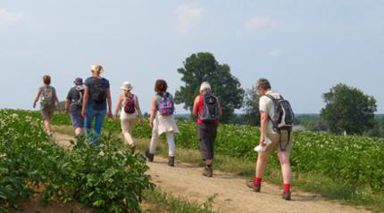 Beklim de heuvels rond Sittard