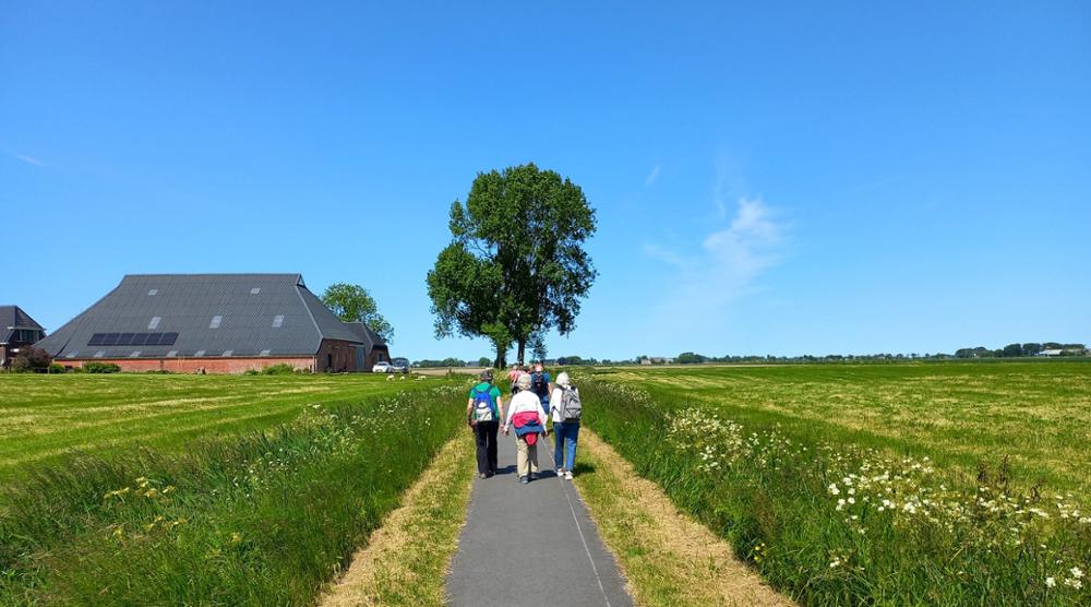 Wandelen op het Hogeland (Groningen)