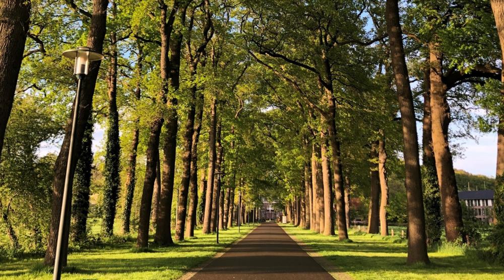 Bij de franciscanessen in Denekamp