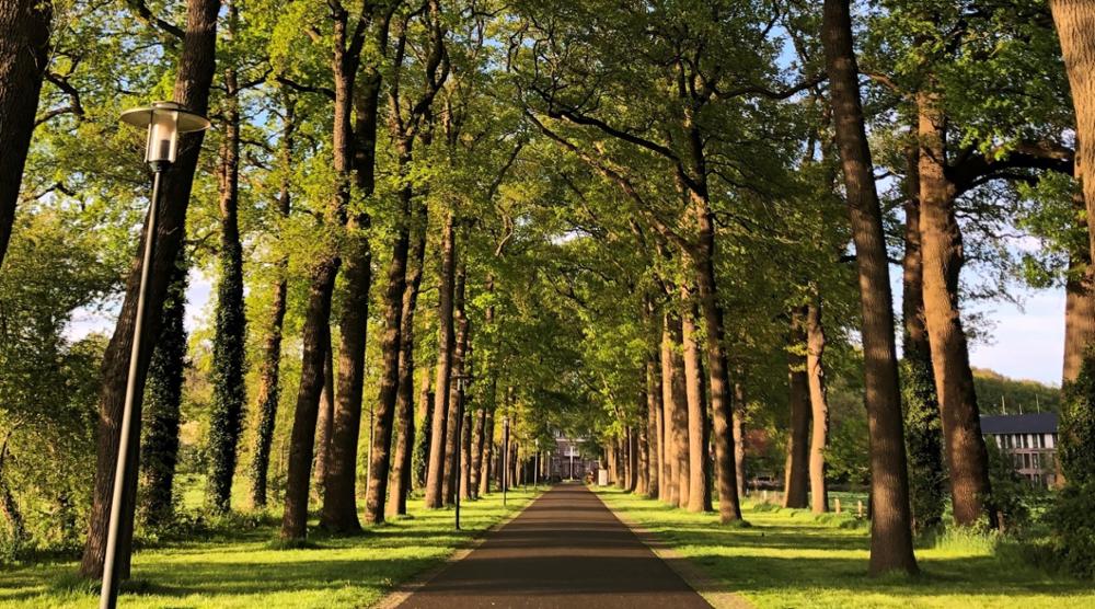 Bij de franciscanessen in Denekamp
