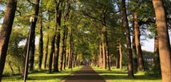 Bij de franciscanessen in Denekamp - Foto 5