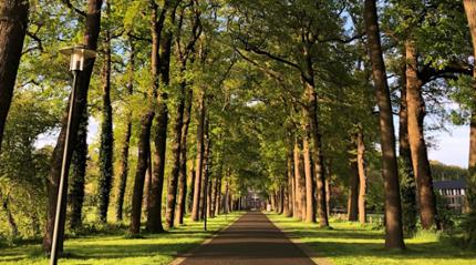 Bij de franciscanessen in Denekamp